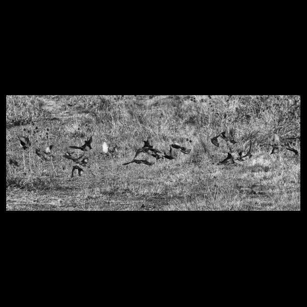 PHOTO84, CLUB, 84 , LUBERON